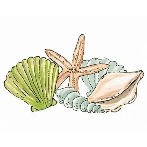 Morské mušle a hviezdice (Haley Bush), 40×50 cm, bez rámu a bez vypnutia plátna