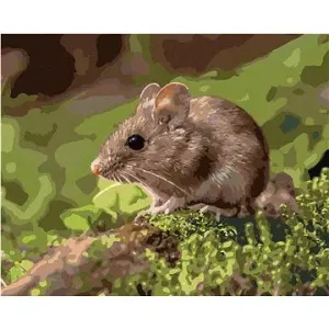 Myška odpočívajúca v lese, 80 × 100 cm, plátno napnuté na rám