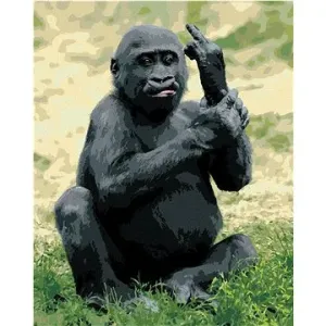 Naštvaná gorila, 40×50 cm, vypnuté plátno na rám