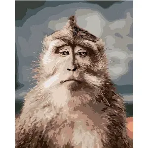 Opica s vážnou tvárou, 80 × 100 cm, bez rámu a bez napnutia plátna