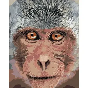 Opica zblízka, 80 × 100 cm, plátno napnuté na rám
