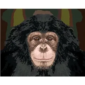 Portrét šimpanza, 80 × 100 cm, bez rámu a bez napnutia plátna