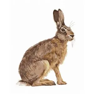 Sediaci zajac, 80 × 100 cm, bez rámu a bez napnutia plátna