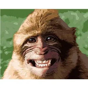 Smejúca sa opica, 80 × 100 cm, plátno napnuté na rám