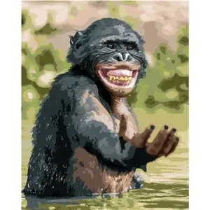 Šťastný šimpanz, 40 × 50 cm, bez rámu a bez napnutia plátna