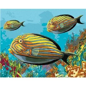 Žlté rybky, 80 × 100 cm, plátno napnuté na rám