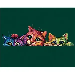 Maľovanie podľa čísel - Farebné mačky