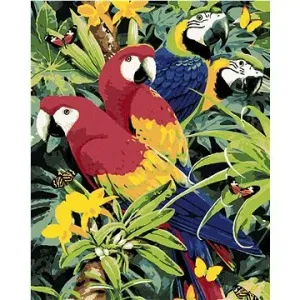 Maľovanie podľa čísel - Farebné papagáje (Howard Robinson)