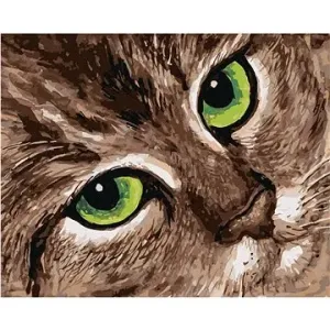 Maľovanie podľa čísel – Mačka a zelené oči