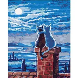 Maľovanie podľa čísel – Mačky na streche a mesiac