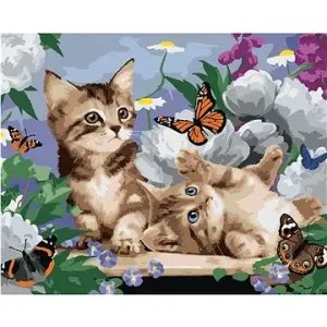 Maľovanie podľa čísel - Mačiatka, motýle a pivónie (Howard Robinson)