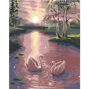 Maľovanie podľa čísel - Labute na vode