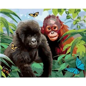 Maľovanie podľa čísel – Orangutan a malá gorila (Howard Robinson)