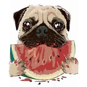 Maľovanie podľa čísel – Pes s melónom