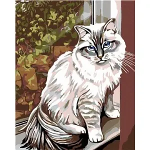 Maľovanie podľa čísel – Biela mačka v okne