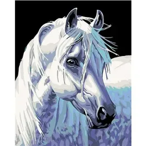 Maľovanie podľa čísel – Biely kôň II