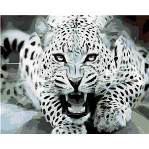 Maľovanie podľa čísel – Čienobiely leopard