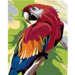Maľovanie podľa čísel – Farebný papagáj