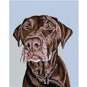 Maľovanie podľa čísel – Hnedý pes s hnedým obojkom