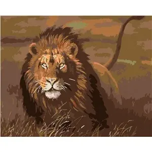 Maľovanie podľa čísel – Lev na savane