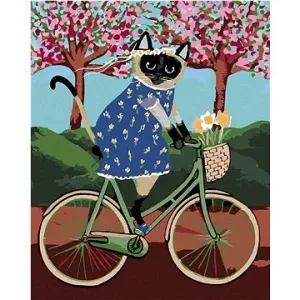 Maľovanie podľa čísel – Mačička na bicykli