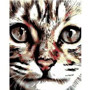 Maľovanie podľa čísel – Pásikavé mačiatko