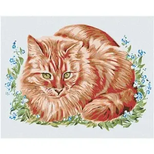 Maľovanie podľa čísel – Ryšavá mačka v tráve
