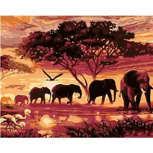 Maľovanie podľa čísel – Slony