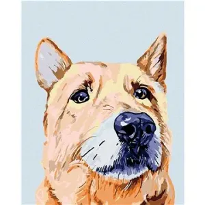 Maľovanie podľa čísel – Smutný pes