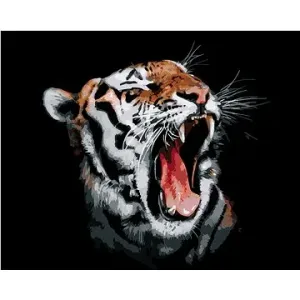 Maľovanie podľa čísel – Tiger s otvorenou tlamou